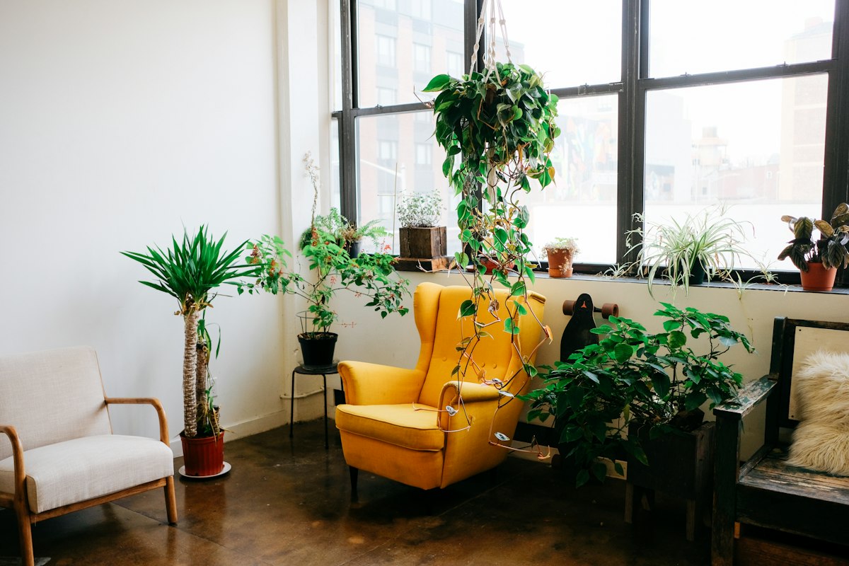 Plant care tools and supplies